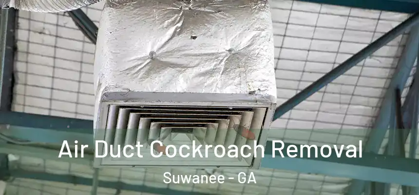  Air Duct Cockroach Removal Suwanee - GA