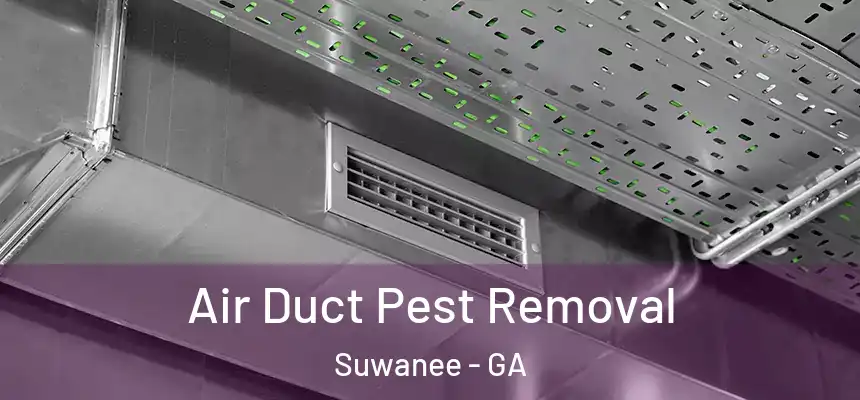  Air Duct Pest Removal Suwanee - GA