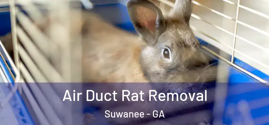  Air Duct Rat Removal Suwanee - GA