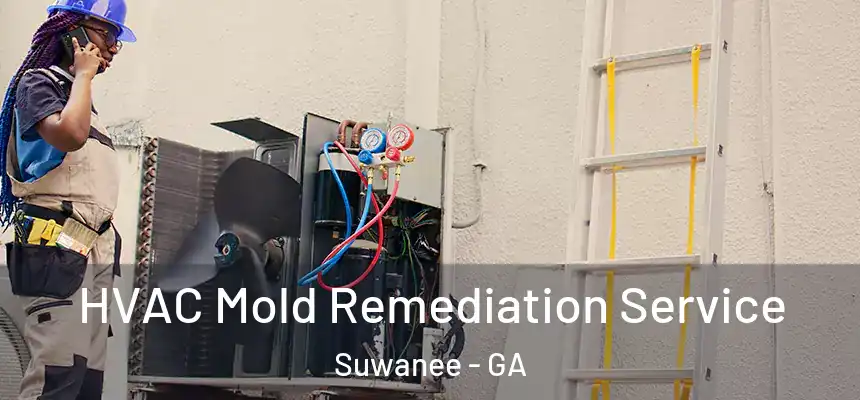  HVAC Mold Remediation Service Suwanee - GA