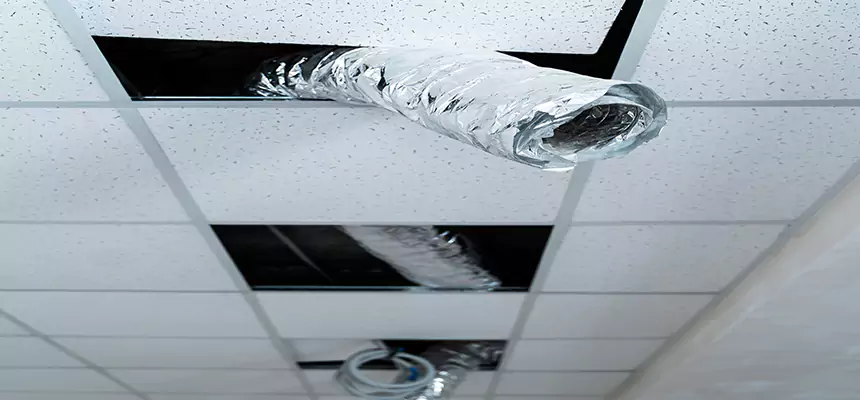 Affordable HVAC Sanitizing After Pest Removal in Suwanee