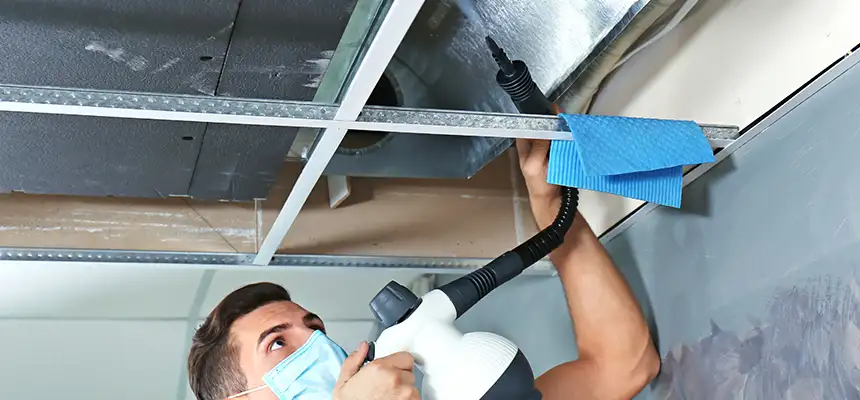 Our Air Duct Rodent Removal Services in Suwanee, GA