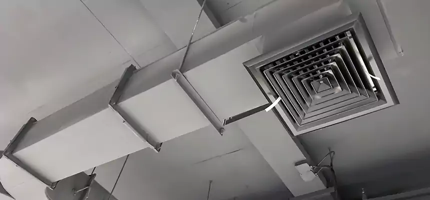 Restorative Allergy Relief Vent Cleaning – Coil, Blower & Housing Detail in Suwanee