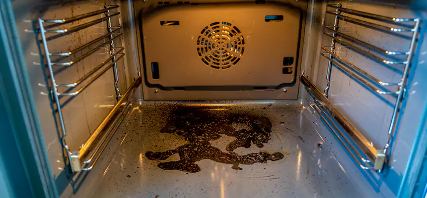 Our Dryer Vent Mold Cleaning Services in Suwanee, GA