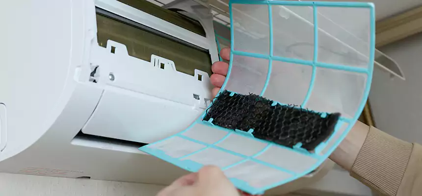 Gentle Ductwork Odor-Control Pet Dander Duct Cleaning in Suwanee, GA