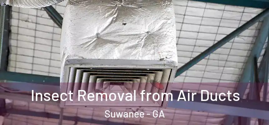  Insect Removal from Air Ducts Suwanee - GA