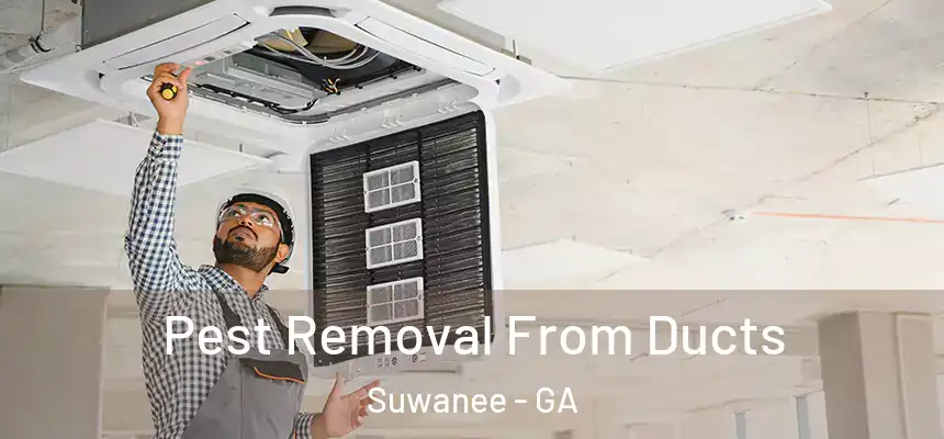  Pest Removal From Ducts Suwanee - GA