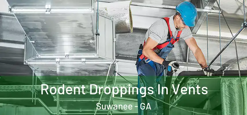  Rodent Droppings In Vents Suwanee - GA