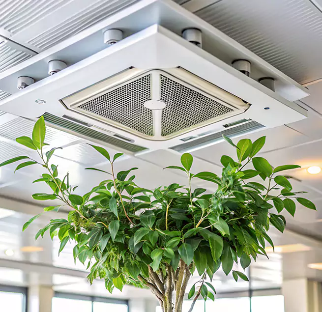 Why Homeowners & Businesses Trust Us in Suwanee, GA?